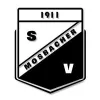 Mosbacher SV 1911