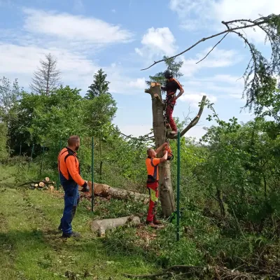 Ausbau des Vereinsheimes