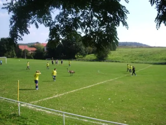 04.09.2005 SV 49 Eckardtshausen vs. SG Hörsel. Stedtfeld II