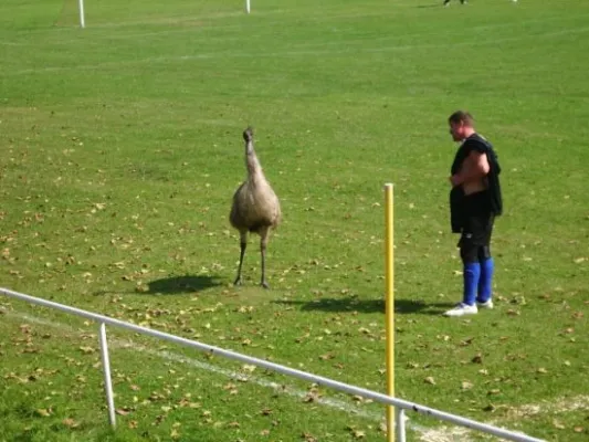 04.09.2005 SV 49 Eckardtshausen vs. SG Hörsel. Stedtfeld II