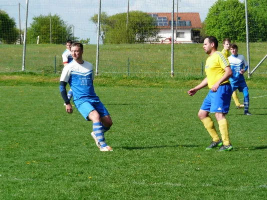 28.04.2019 SV 49 Eckardtshausen vs. SV Hainich Berka