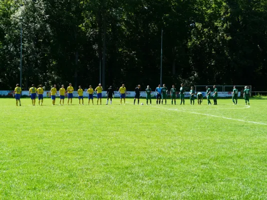 02.06.2019 FSV 1968 Behringen vs. SV 49 Eckardtshausen