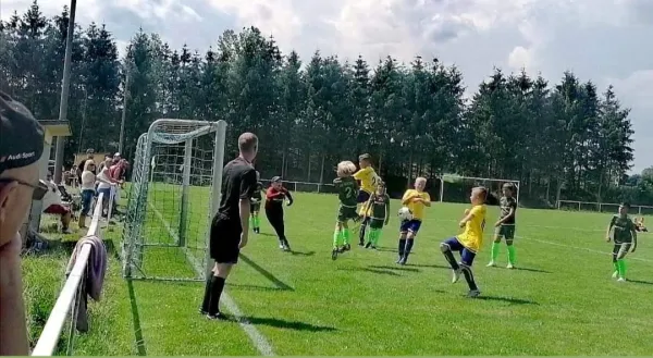 04.07.2021 SG Eckardtshausen vs. JFV Ulfetal-Weiter. (E)