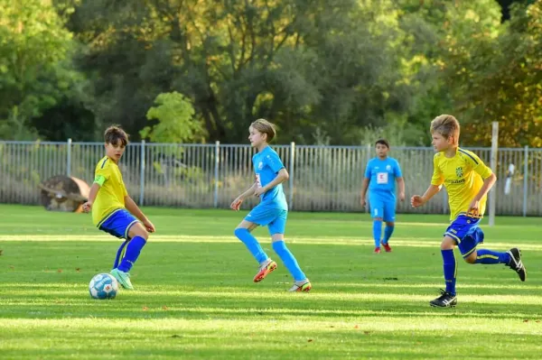 22.09.2022 FC Eisenach vs. SG Eckardtshausen