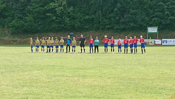 17.06.2023 SG Eckardtshausen vs. SV Dippach 1926