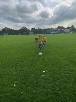 26.08.2023 Funino-Cup vs. SV 49 Eckardtshausen