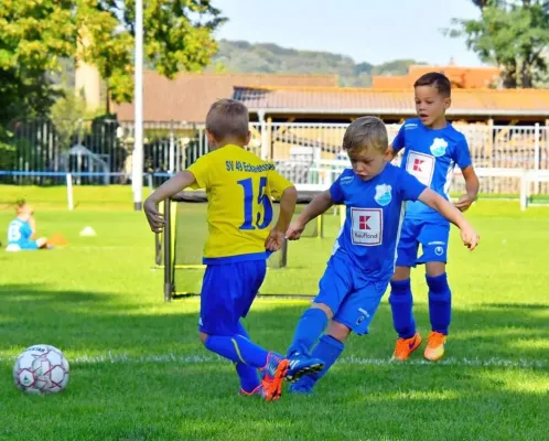 09.09.2023 Funino-Cup vs. SV 49 Eckardtshausen