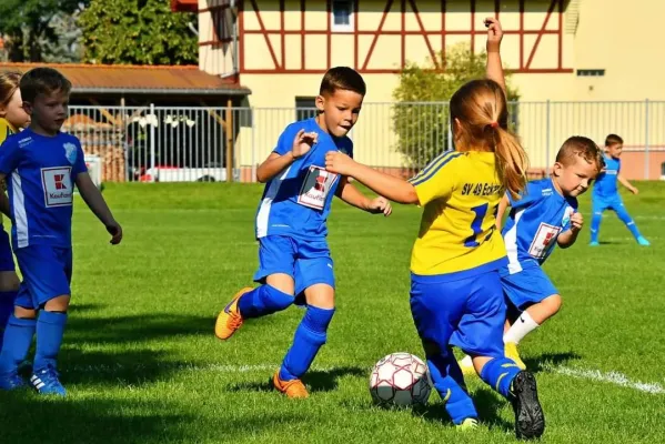 09.09.2023 Funino-Cup vs. SV 49 Eckardtshausen