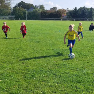 30.09.2023 Funino-Cup vs. SV 49 Eckardtshausen