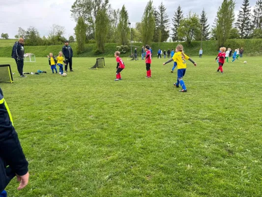 20.04.2024 Funino-Cup vs. SV 49 Eckardtshausen