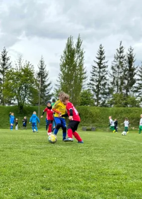 20.04.2024 Funino-Cup vs. SV 49 Eckardtshausen