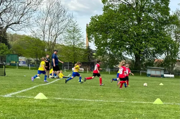 14.04.2024 Funino-Cup vs. SV 49 Eckardtshausen