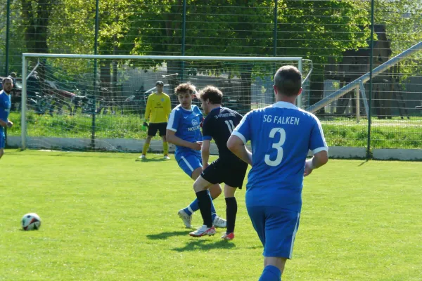27.04.2025 SG Falken 1948 vs. SV 49 Eckardtshausen