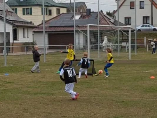 29.03.2025 Funino-Kinderfestiv. vs. SV 49 Eckardtshausen