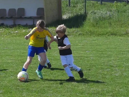 26.04.2025 SV 49 Eckardtshausen vs. Funino-Kinderfestiv.