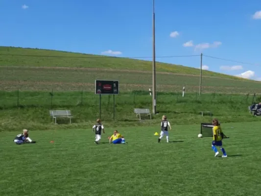 26.04.2025 SV 49 Eckardtshausen vs. Funino-Kinderfestiv.