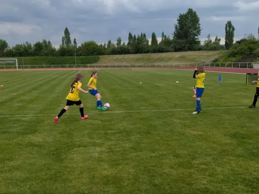 03.05.2025 Funino-Kinderfestiv. vs. SV 49 Eckardtshausen