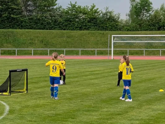03.05.2025 Funino-Kinderfestiv. vs. SV 49 Eckardtshausen