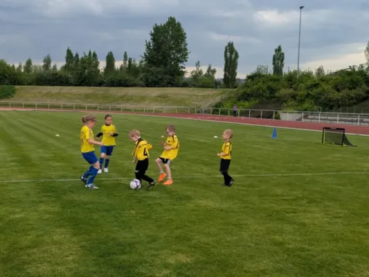 03.05.2025 Funino-Kinderfestiv. vs. SV 49 Eckardtshausen