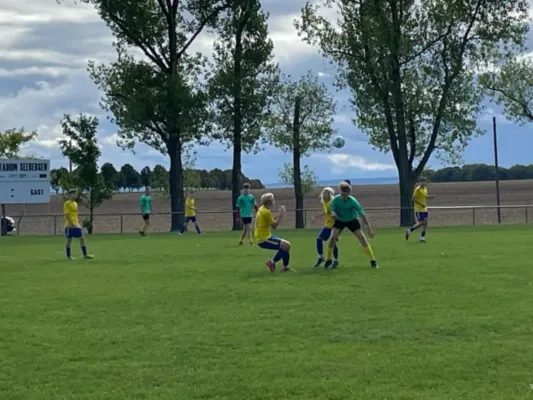 14.09.2025 SG FSV Dr. Gl. Mühlberg vs. SG SV 49 Eckardtshausen