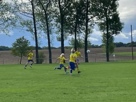 14.09.2025 SG FSV Dr. Gl. Mühlberg vs. SG SV 49 Eckardtshausen