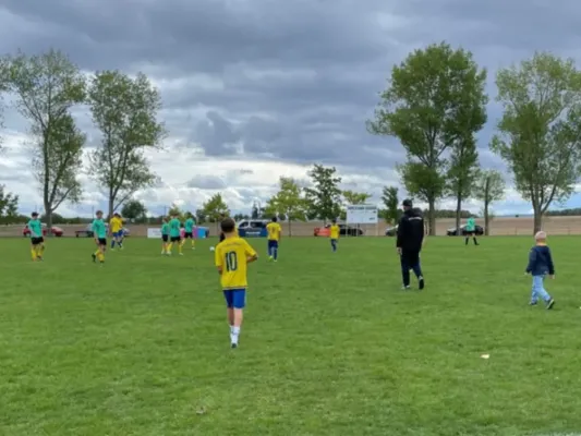 14.09.2025 SG FSV Dr. Gl. Mühlberg vs. SG SV 49 Eckardtshausen