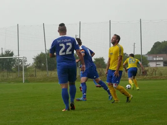 04.09.2016 SV 49 Eckardtshausen vs. SG Falken 1948