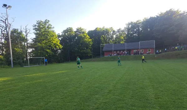 22.05.2026 SV Etterwinden AH vs. SV 49 Eckardtshausen AH