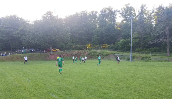 22.05.2026 SV Etterwinden AH vs. SV 49 Eckardtshausen AH