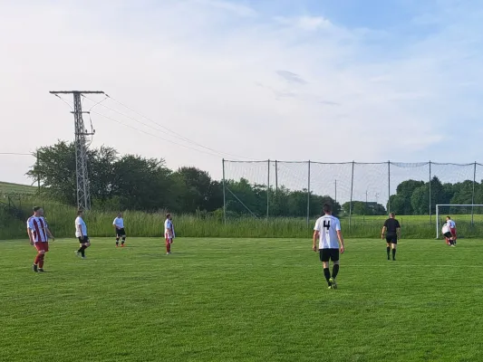 29.05.2026 SV 49 Eckardtshausen AH vs. SG Gump. Gumpelstadt AH