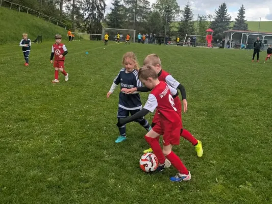 16.05.2026 Funino-Kinderfestiv. vs. SV 49 Eckardtshausen
