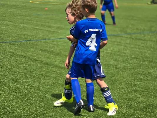 13.06.2026 Funino-Kinderfestiv. vs. SV 49 Eckardtshausen