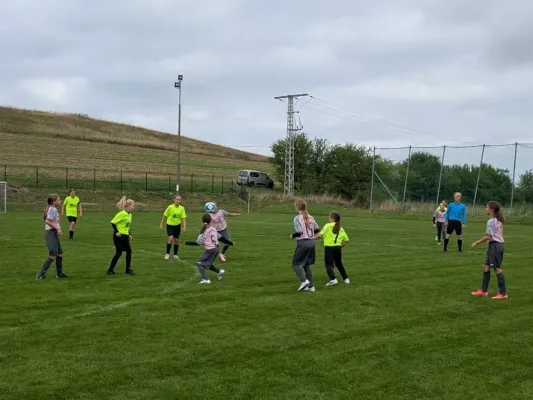 12.09.2026 SV 49 Eckardtshausen vs. EFC Ruhla 08