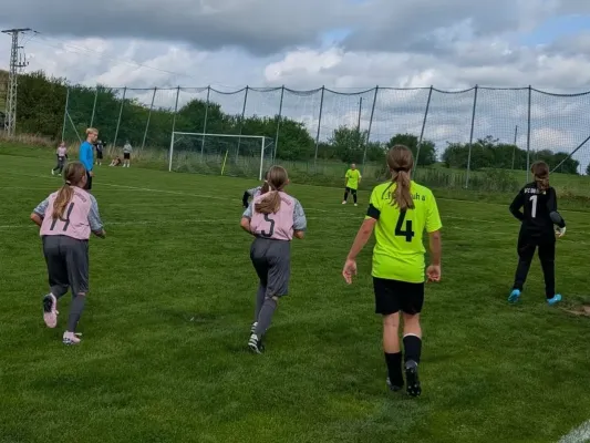 12.09.2026 SV 49 Eckardtshausen vs. EFC Ruhla 08