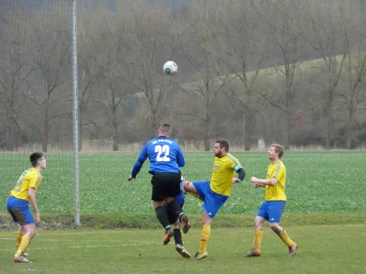 19.03.2017 SG Falken 1948 vs. SV 49 Eckardtshausen