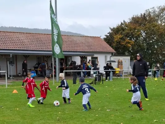 10.10.2026 Funino-Kinderfestiv. vs. SV 49 Eckardtshausen