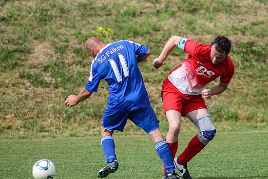 13.06.2015 SG Falken 1948 vs. SV 49 Eckardtshausen