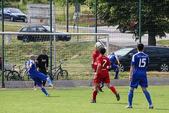 13.06.2015 SG Falken 1948 vs. SV 49 Eckardtshausen