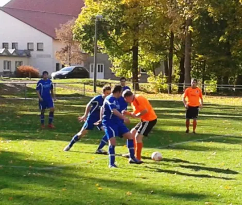 19.10.2013 FSV 1968 Behringen vs. SV 49 Eckardtshausen