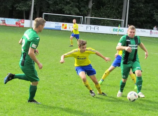 01.10.2017 FSV 1968 Behringen vs. SV 49 Eckardtshausen