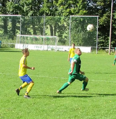 01.10.2017 FSV 1968 Behringen vs. SV 49 Eckardtshausen