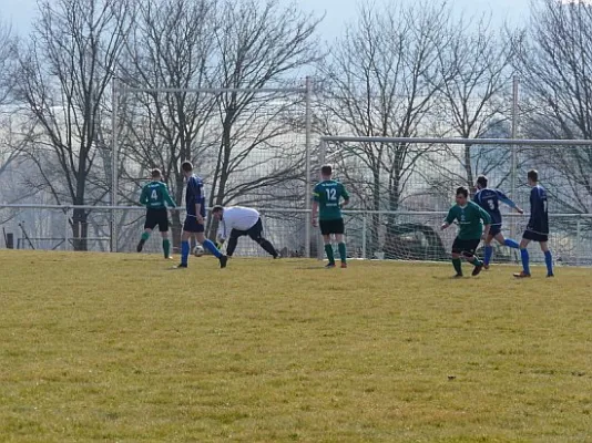 25.03.2018 SG W'lupnitz/Mecht. vs. SV 49 Eckardtshausen