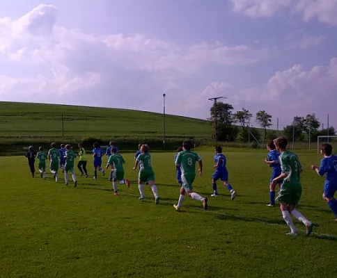 11.06.2013 SG Eckardtshausen vs. SV 1901 Wandersleben