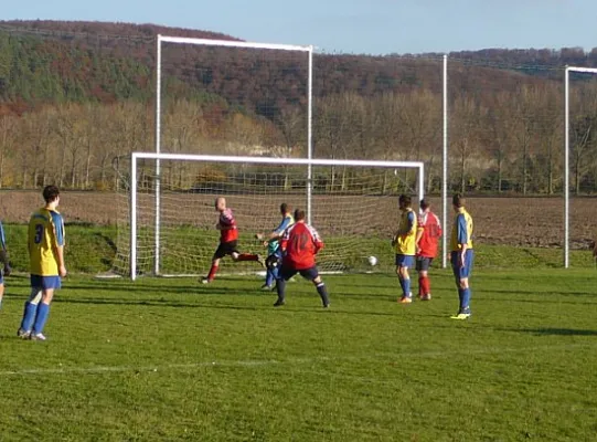 31.10.2011 SG Falken 1948 vs. SV 49 Eckardtshausen