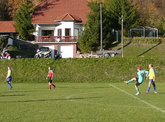 31.10.2011 SG Falken 1948 vs. SV 49 Eckardtshausen