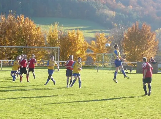 31.10.2011 SG Falken 1948 vs. SV 49 Eckardtshausen