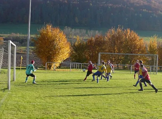 31.10.2011 SG Falken 1948 vs. SV 49 Eckardtshausen