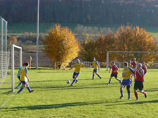 31.10.2011 SG Falken 1948 vs. SV 49 Eckardtshausen