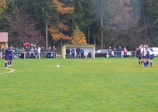 07.11.2010 SV 49 Eckardtshausen vs. EFC Ruhla 08 II