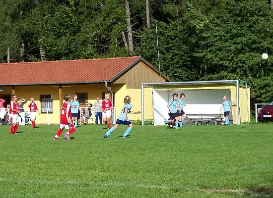 25.08.2010 JSG Eckardtshausen vs. ESV Gerstungen